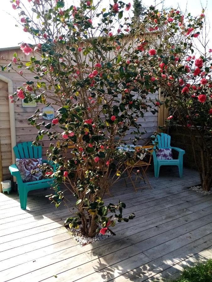 O Douceurs Sucrees Cabourg Bed & Breakfast エクステリア 写真