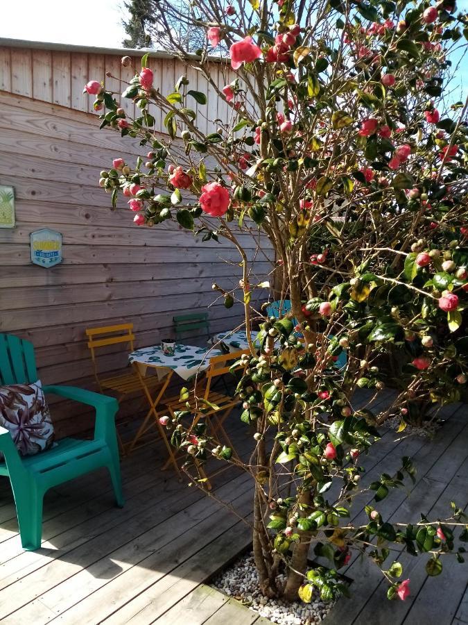 O Douceurs Sucrees Cabourg Bed & Breakfast エクステリア 写真